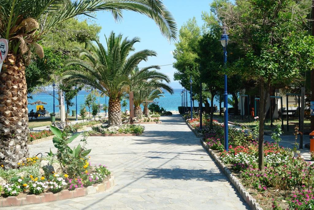 Lena Studios In Χανιώτη Εξωτερικό φωτογραφία